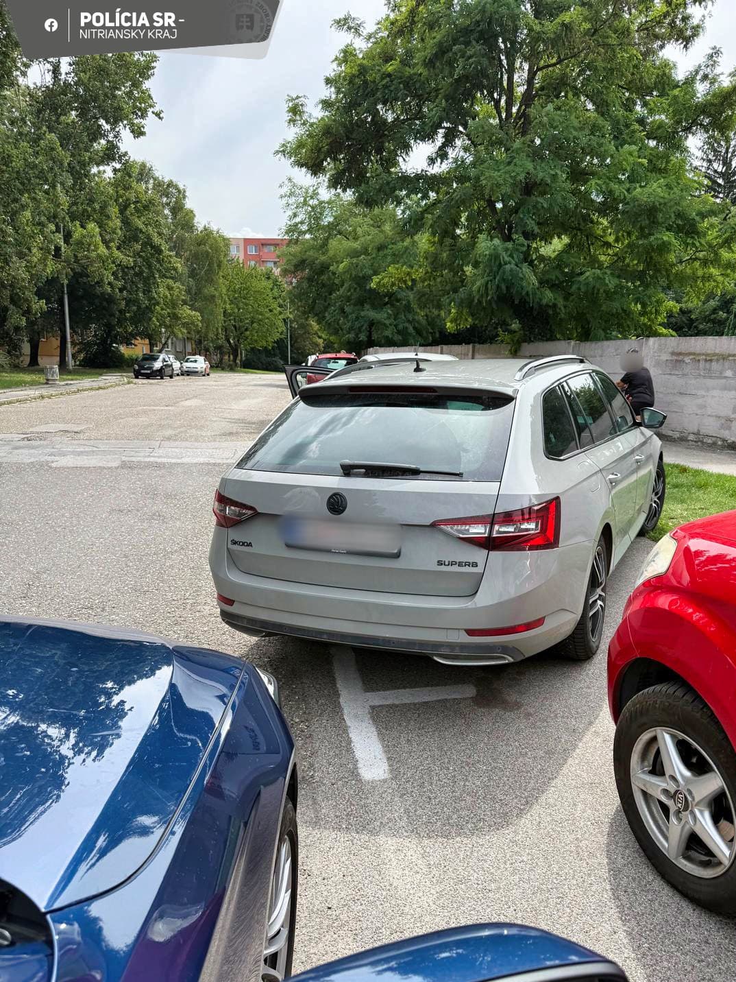 Policajná hliadka zastavila vodiča,