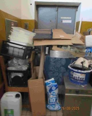 Mŕtve hlodavce, pleseň aj