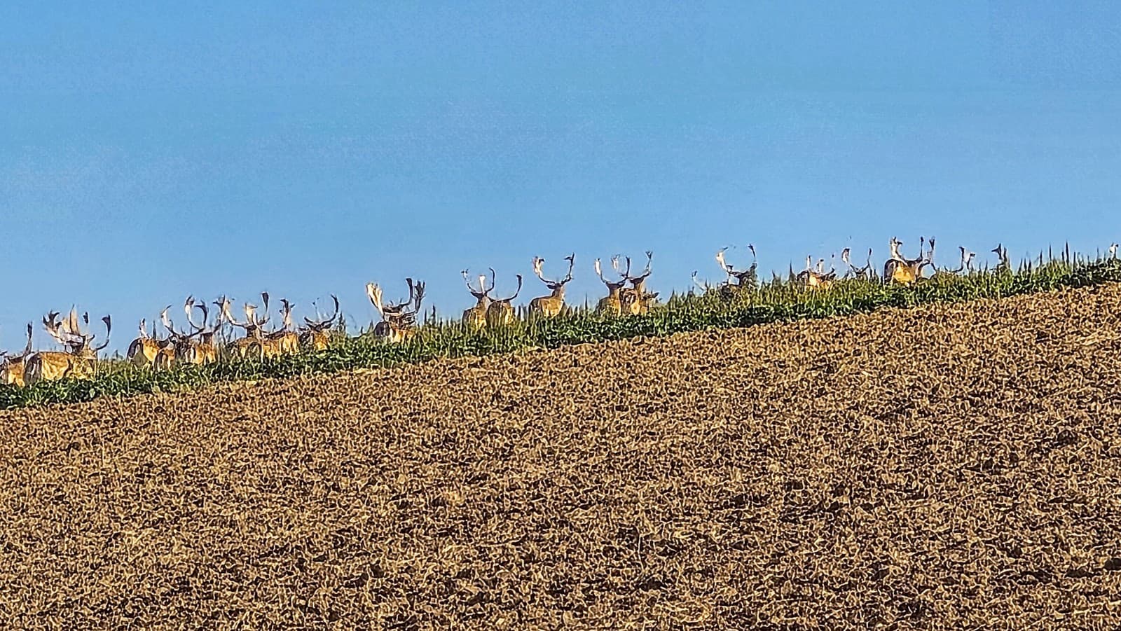 Neuveriteľné zábery zo Záhoria:
