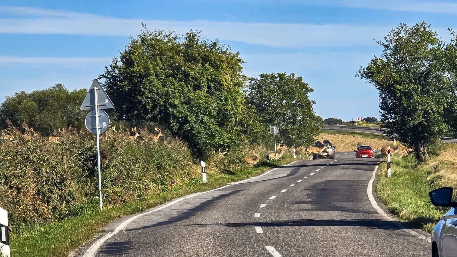 Neuveriteľné zábery zo Záhoria: