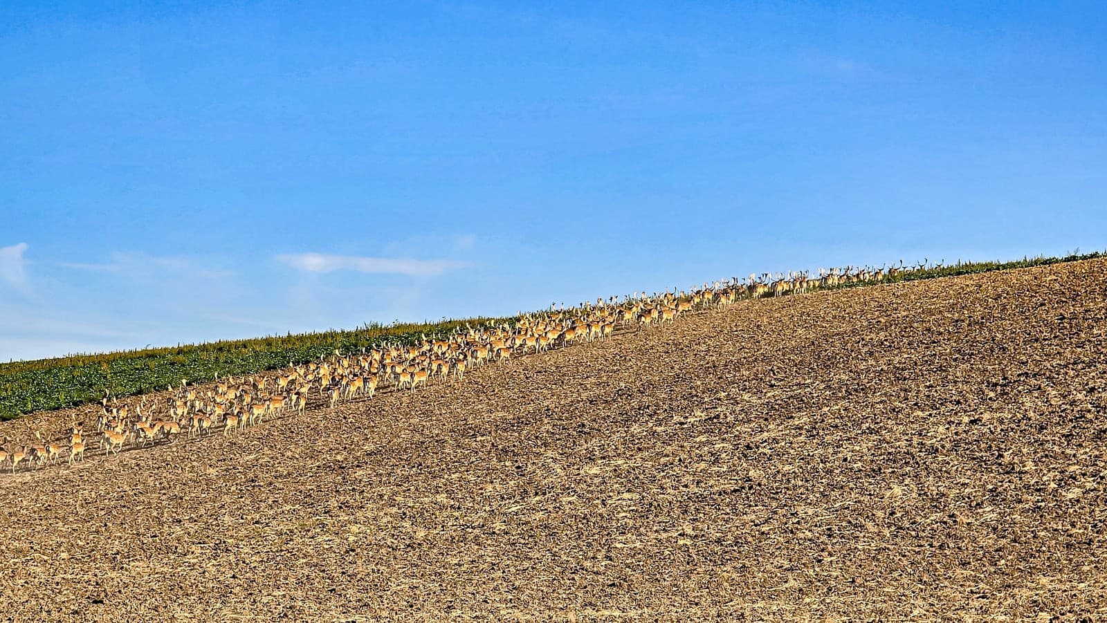 Neuveriteľné zábery zo Záhoria: