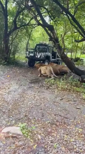 Návšteva zoo sa zmenila