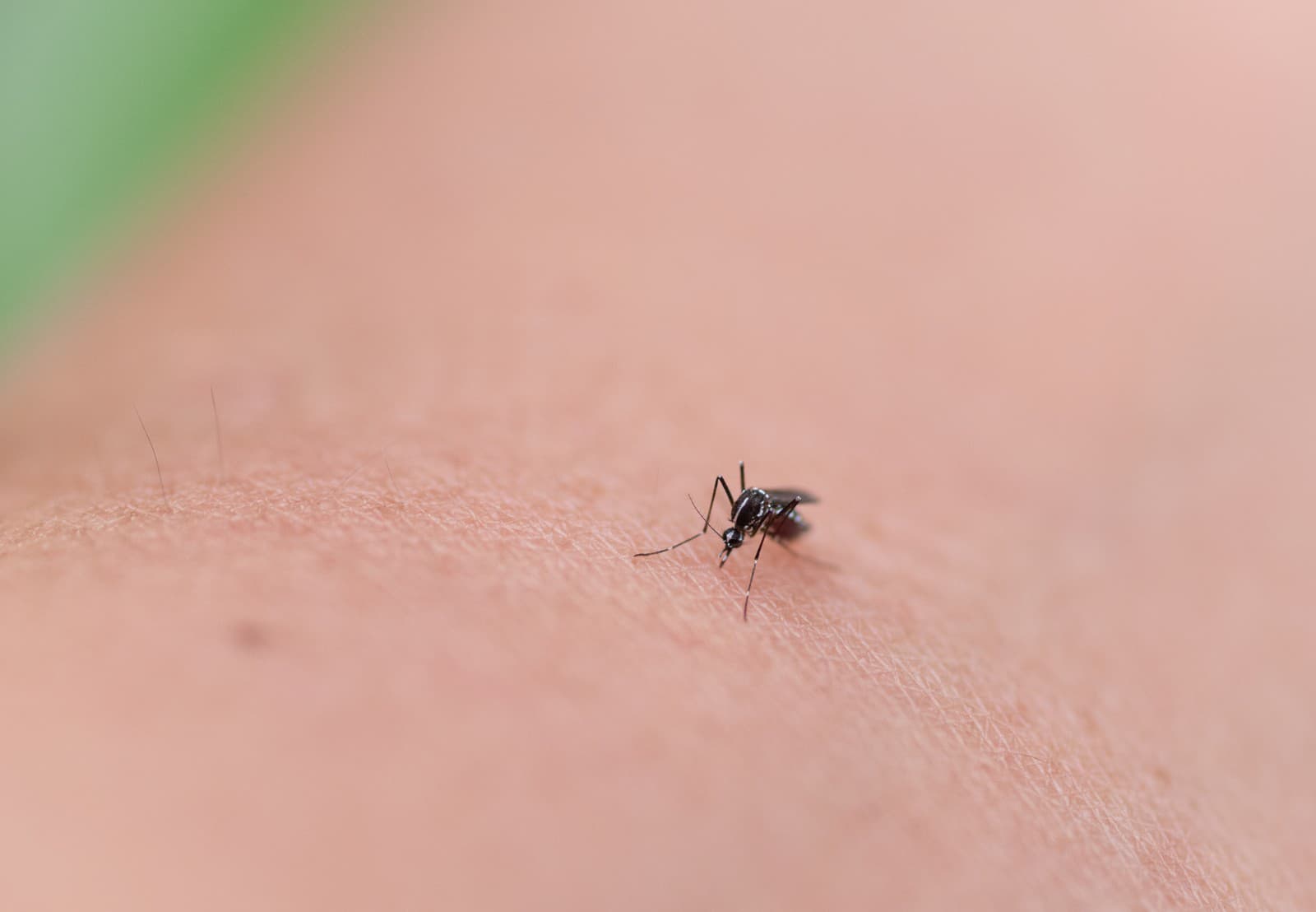 Vedci bijú na poplach: