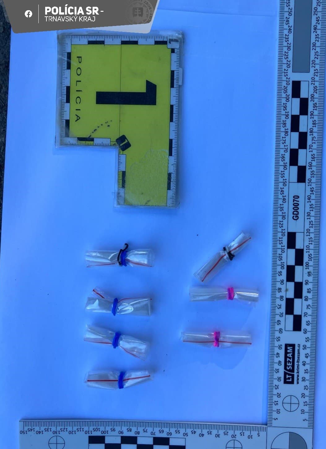 Polícia obvinila dve osoby z okresu Trnava z drogovej trestnej činnosti