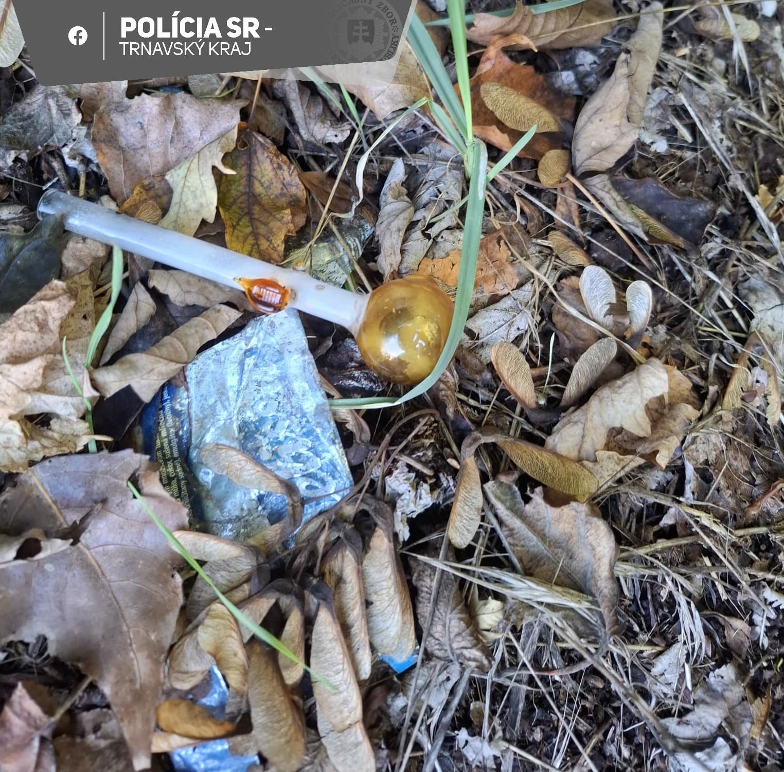 Polícia obvinila dve osoby z okresu Trnava z drogovej trestnej činnosti