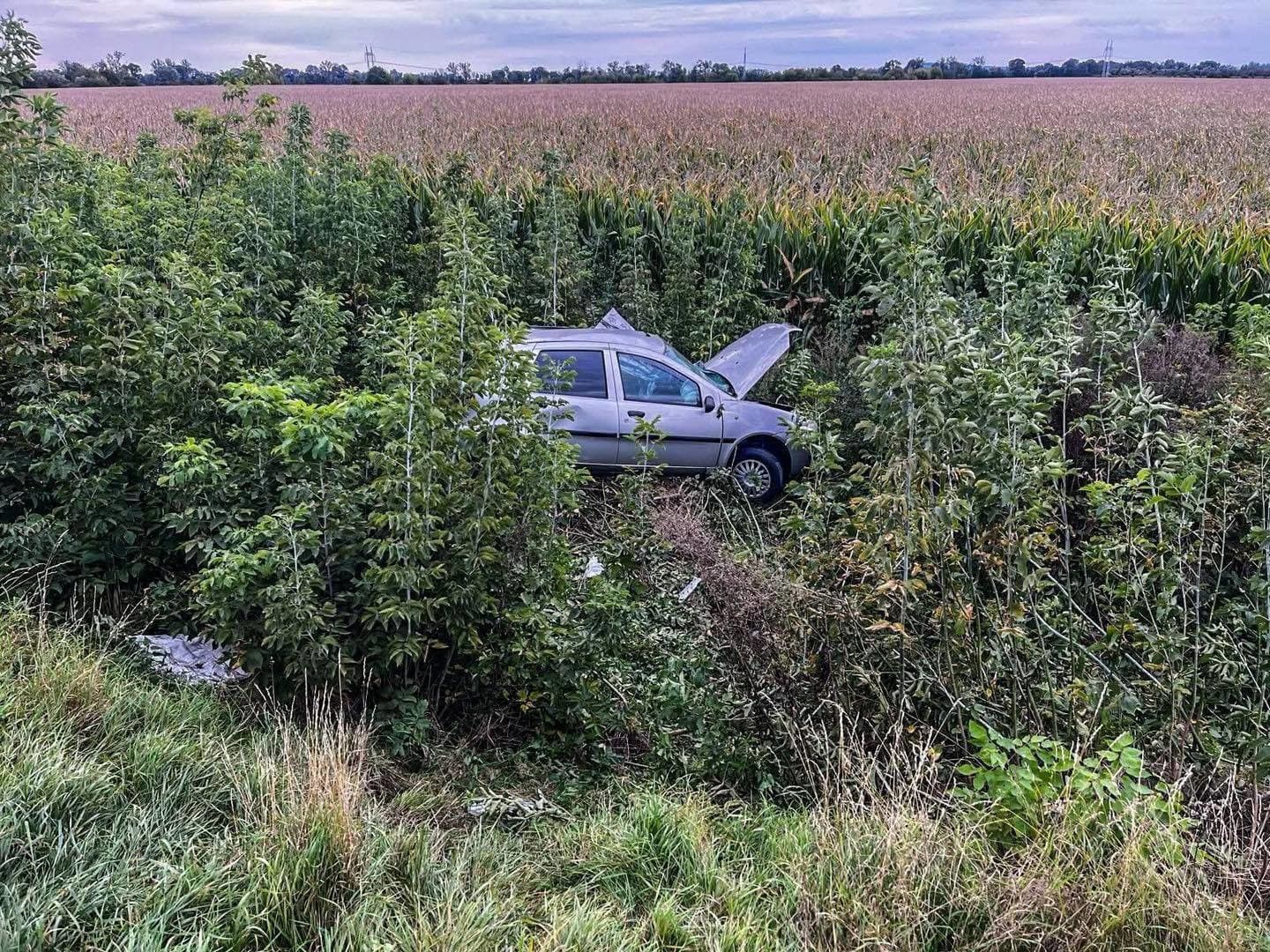 Nehoda pri Michalovciach: Vodič