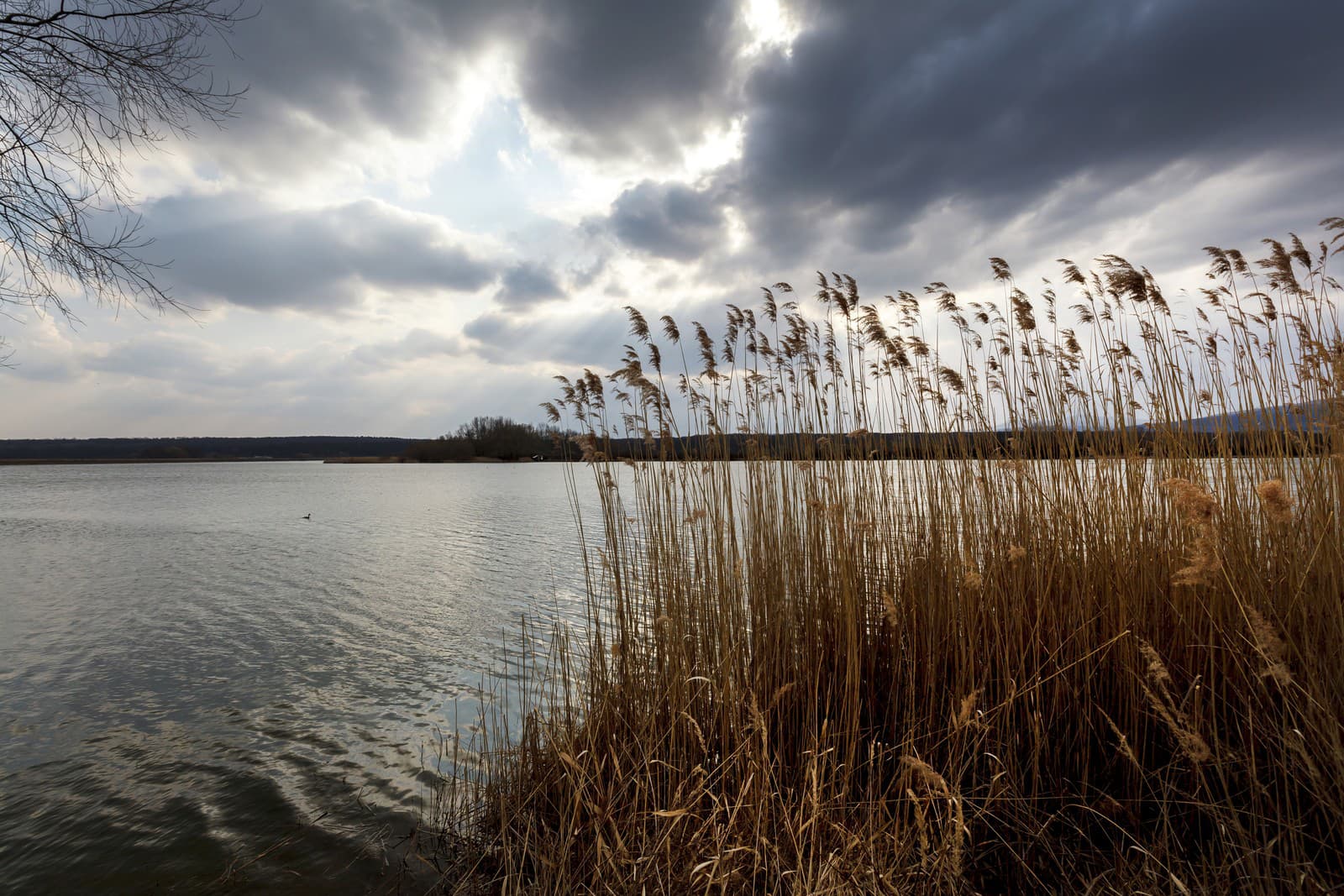 Dedinou roka sa stali Budmerice. 