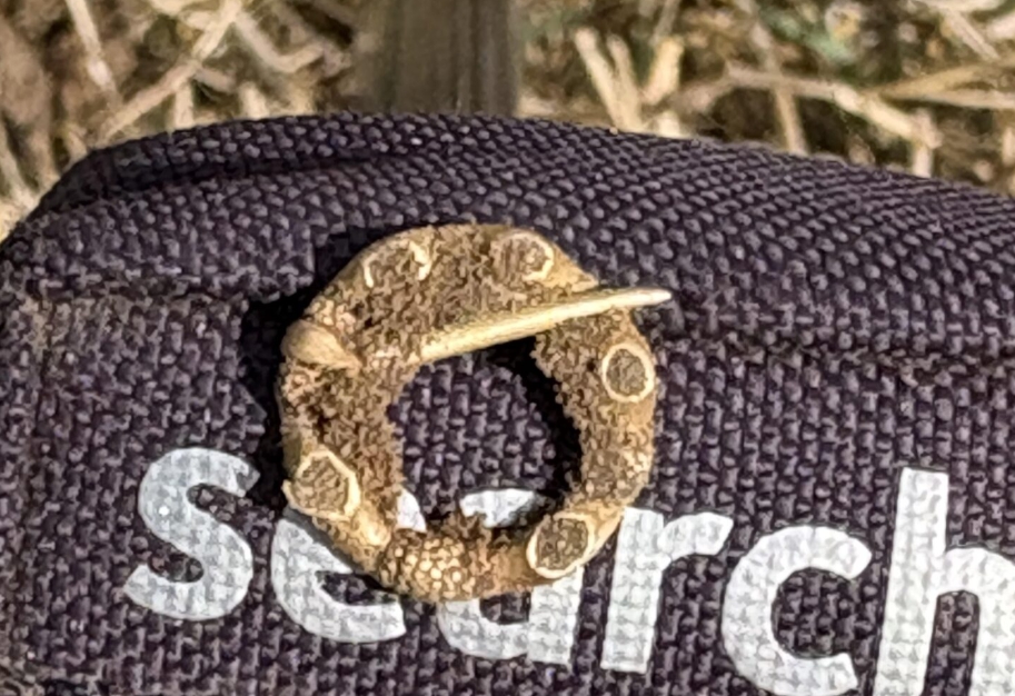 Amatérsky hľadač objavil raritnú brošňu zo 13. storočia.