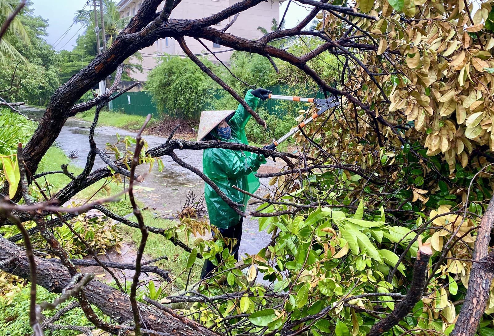 Škody, ktoré napáchal tajfún Bualoi