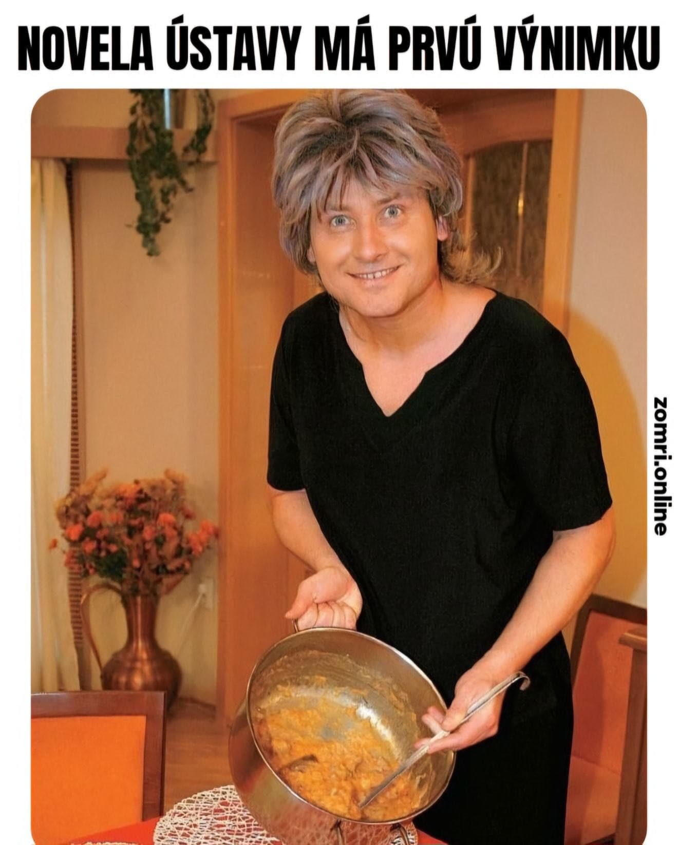 Dvojpohlavná ústava rozprúdila lavínu