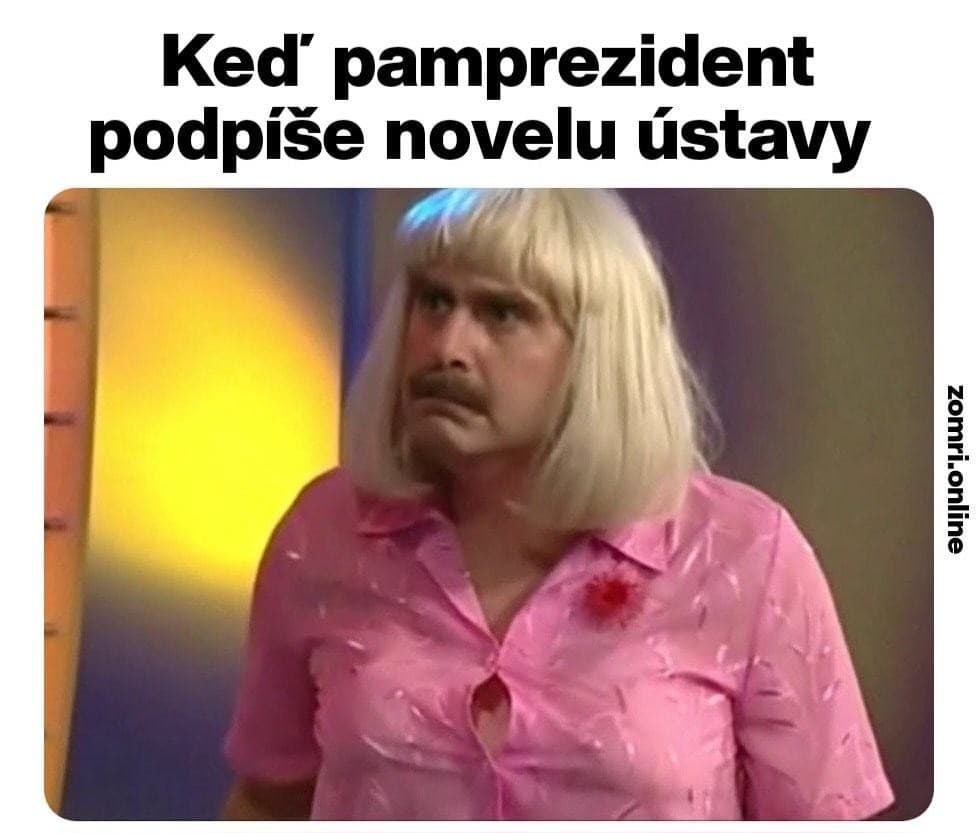 Dvojpohlavná ústava rozprúdila lavínu