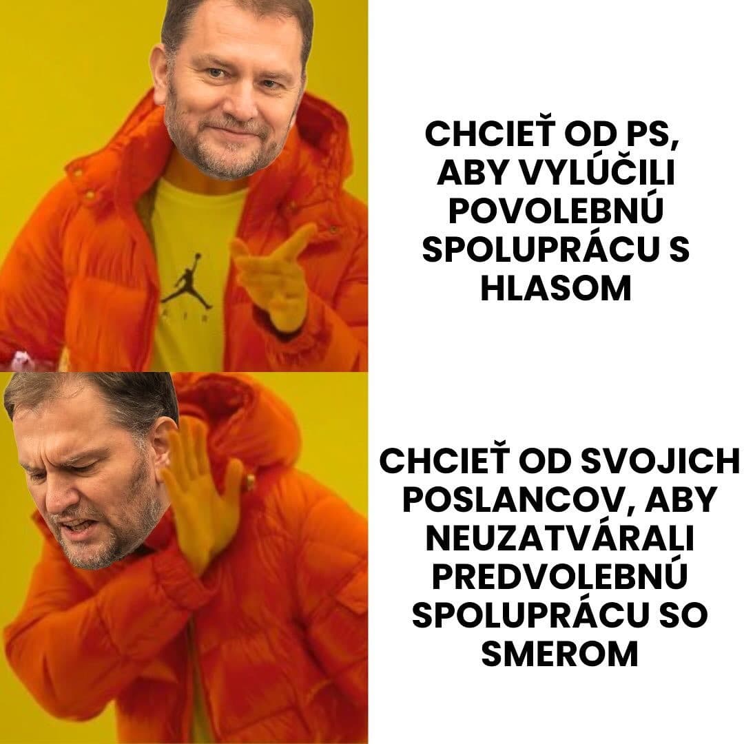 Dvojpohlavná ústava rozprúdila lavínu