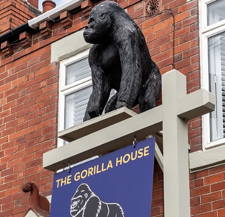 Obrovská gorila na dome rozdelila susedov a úrad!