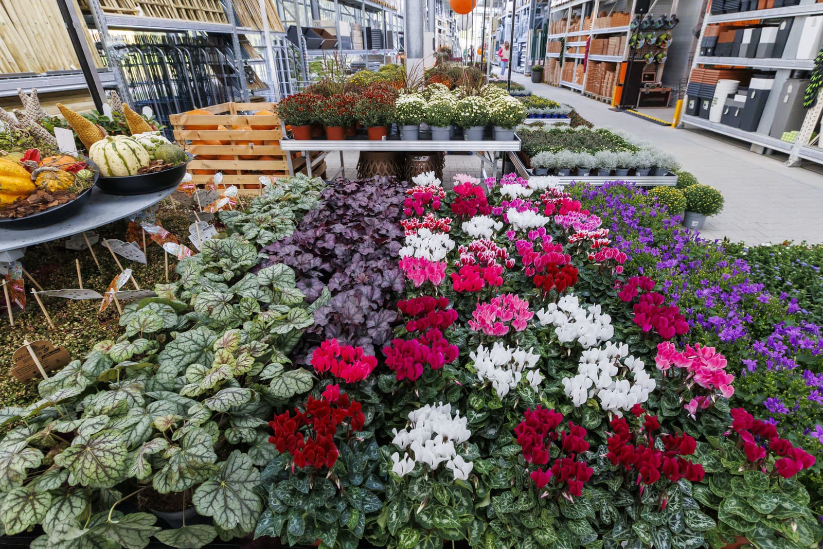 OBI na Slovensku expanduje: