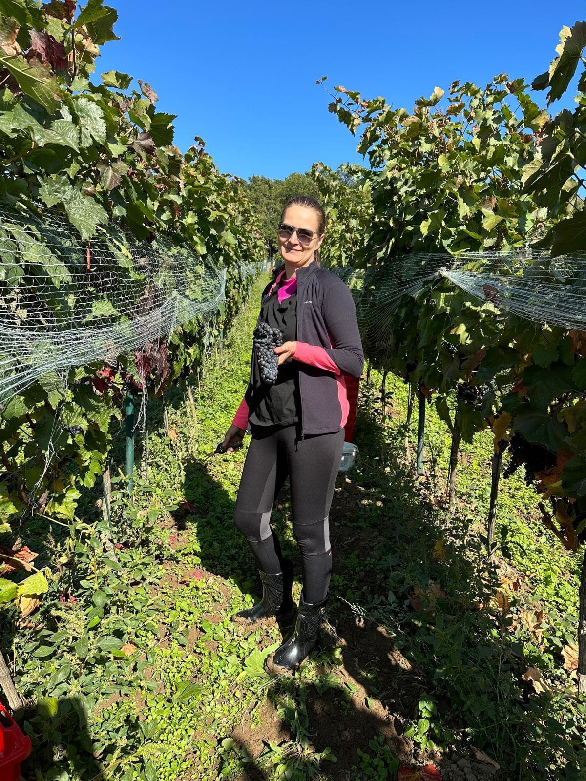 Bajo Holečková na vinici neďaleko Kozároviec.