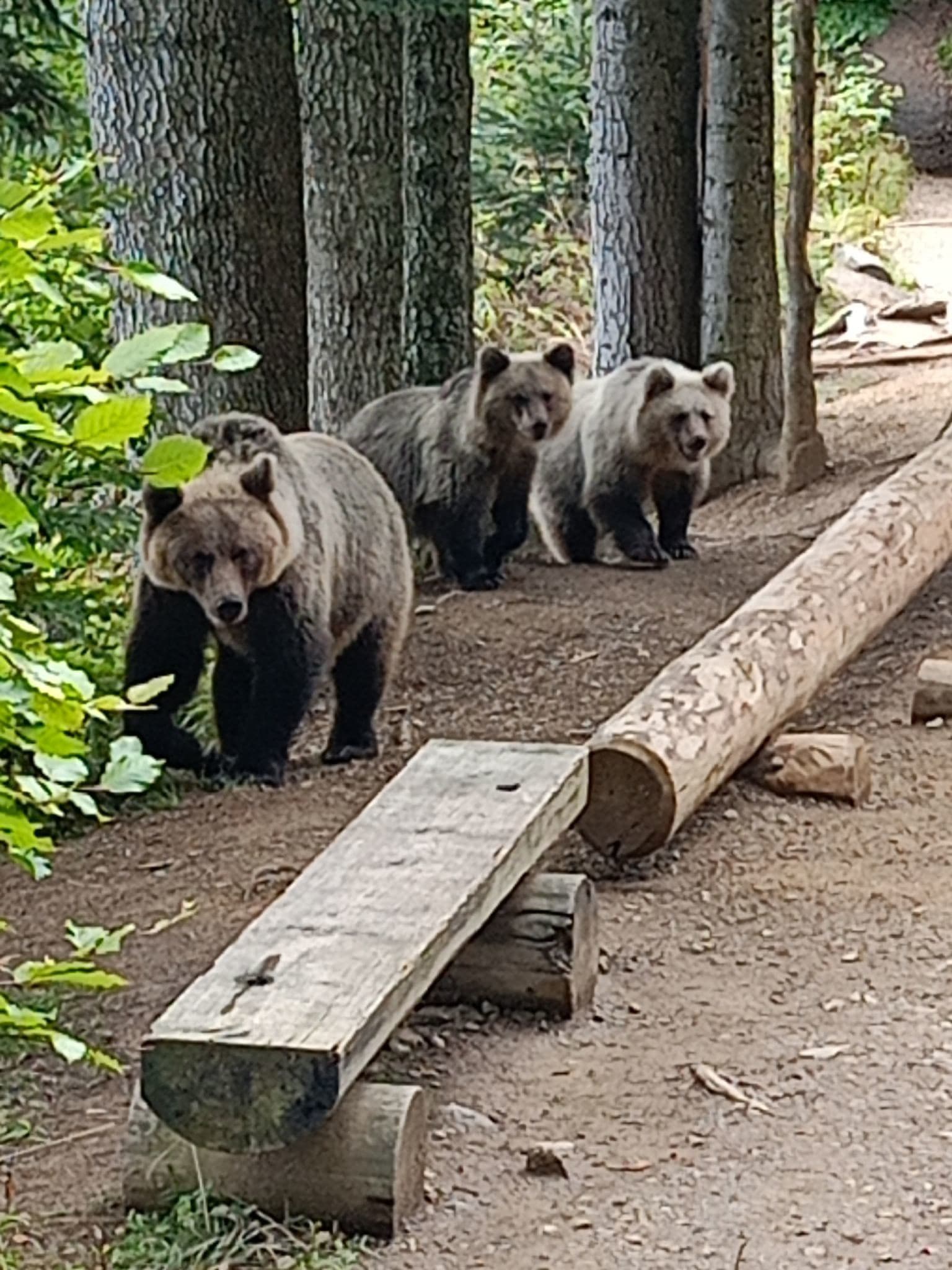 Situácia, z ktorej TUHNE