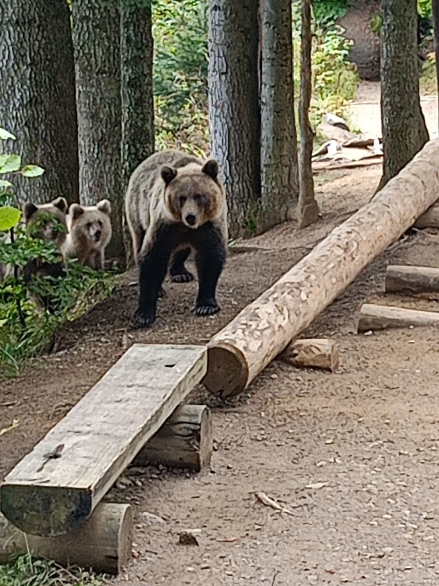 Situácia, z ktorej TUHNE