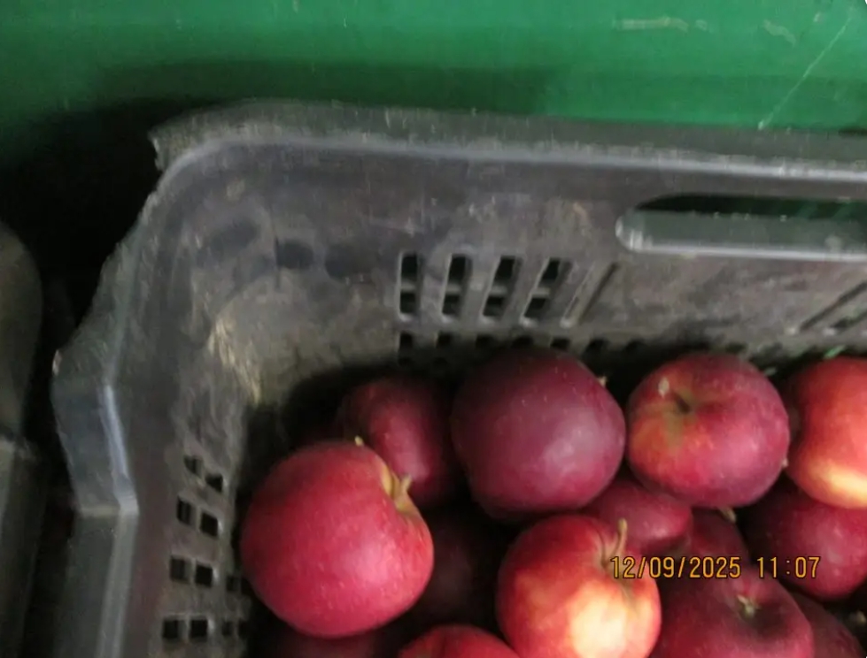 Ovocie uskladnené v poškodených a znečistených obaloch - zistila RVPS Trebišov