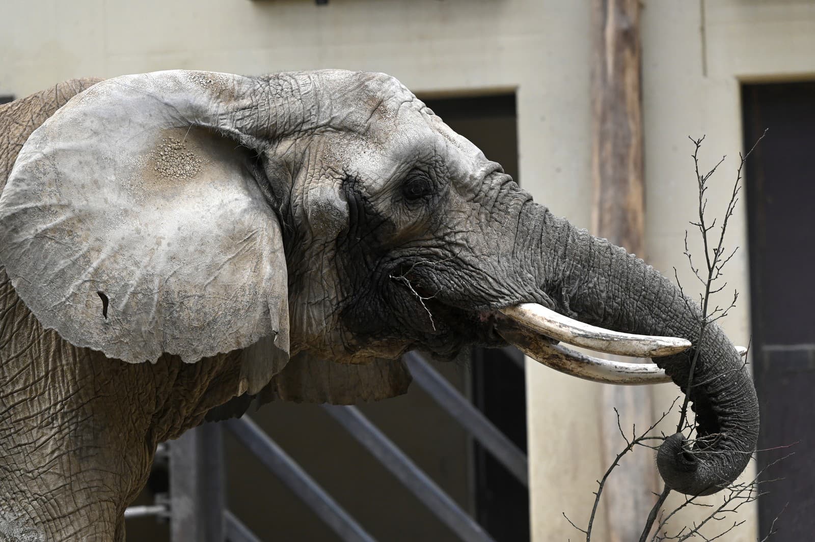 Zoologická záhrada v Bojniciach