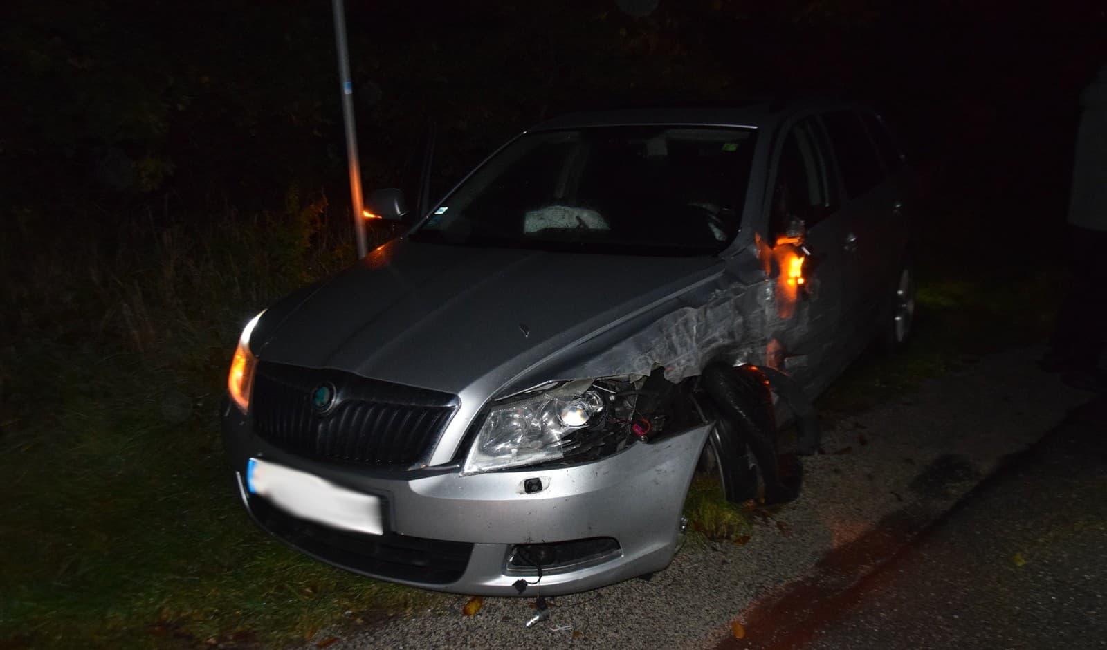 Vodič pod vplyvom alkoholu