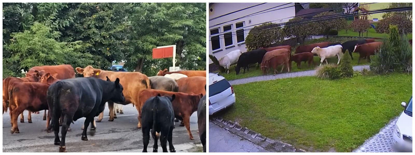 V slovenskej obci šikanujú