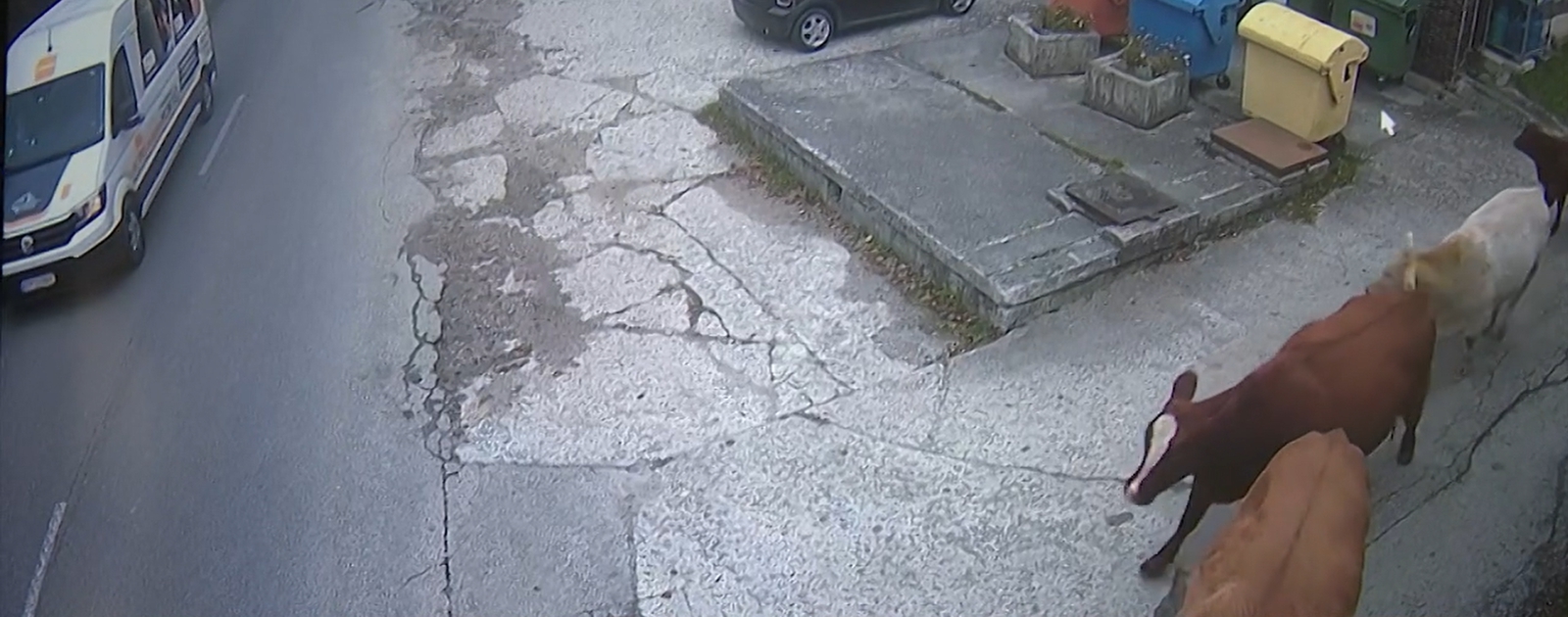 V slovenskej obci šikanujú