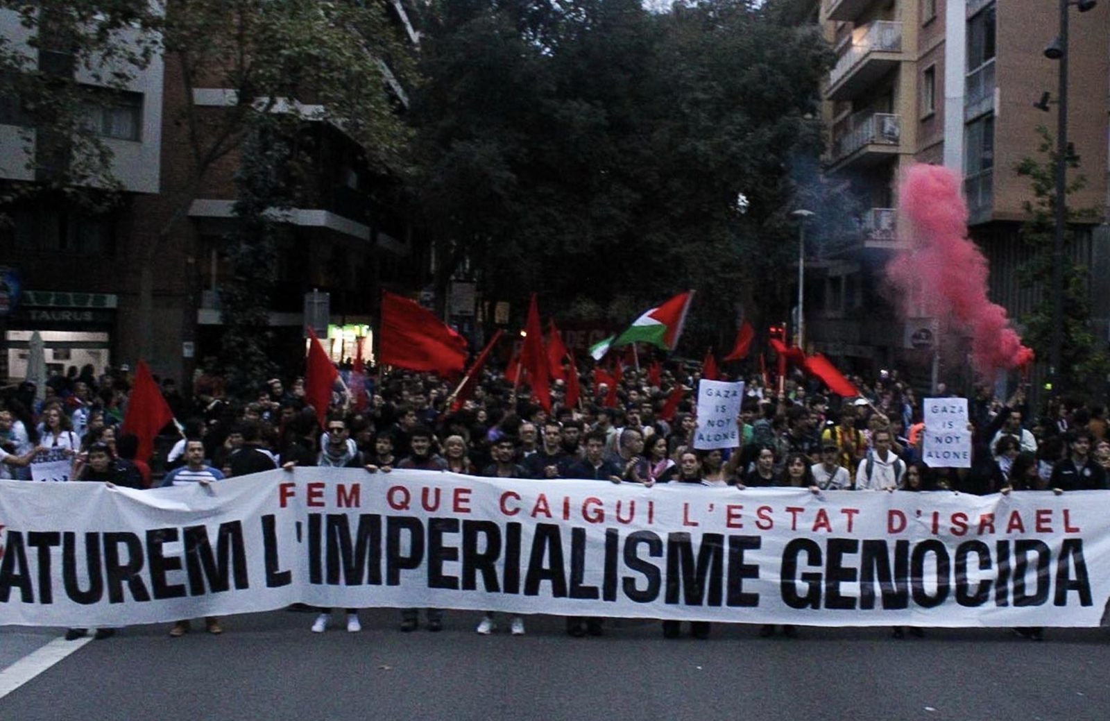 Desaťtisíce ľudí protestovali proti operáciám Izraelu v Pásme Gazy