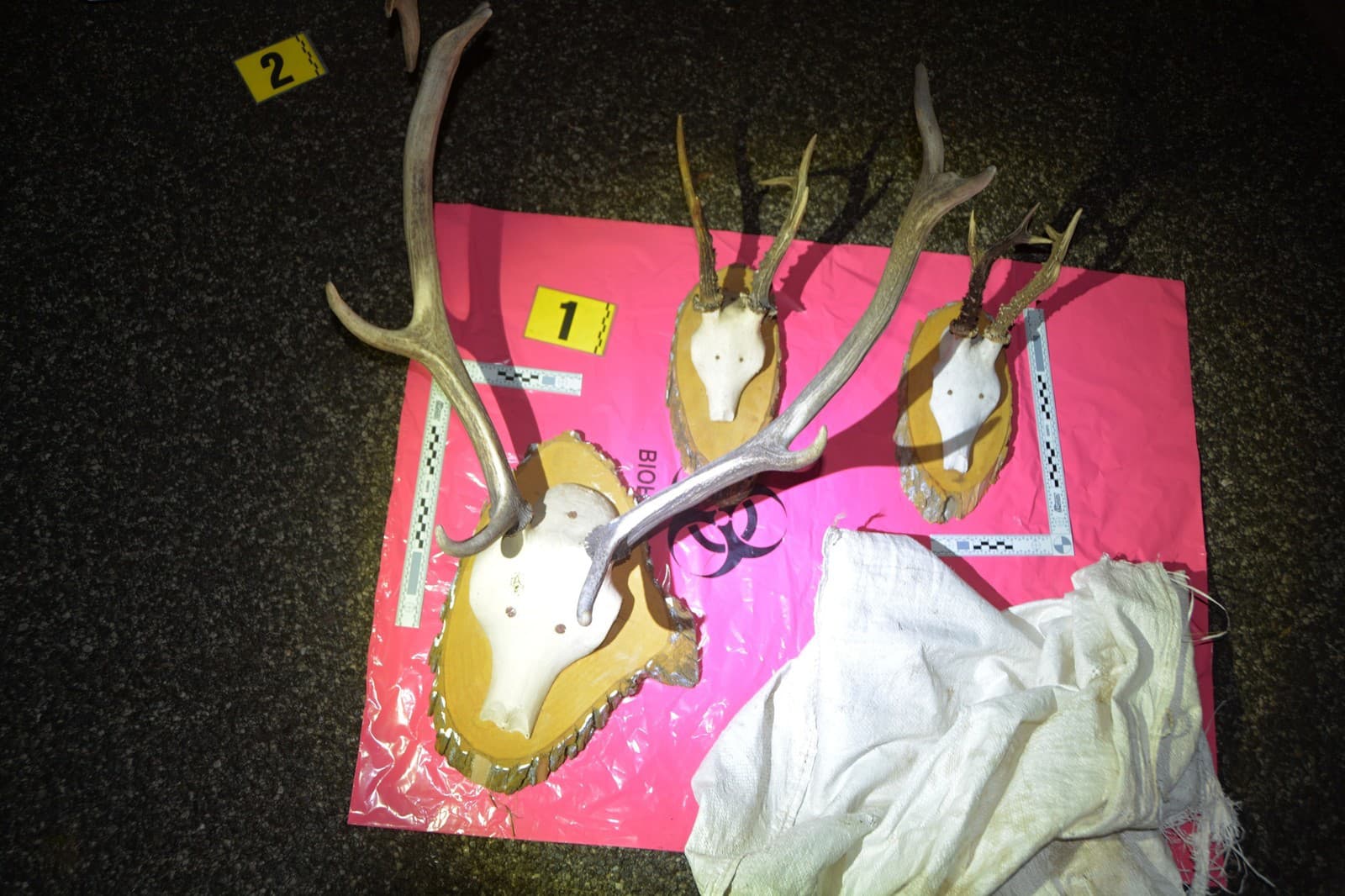 Kradli parožie! Polícia na