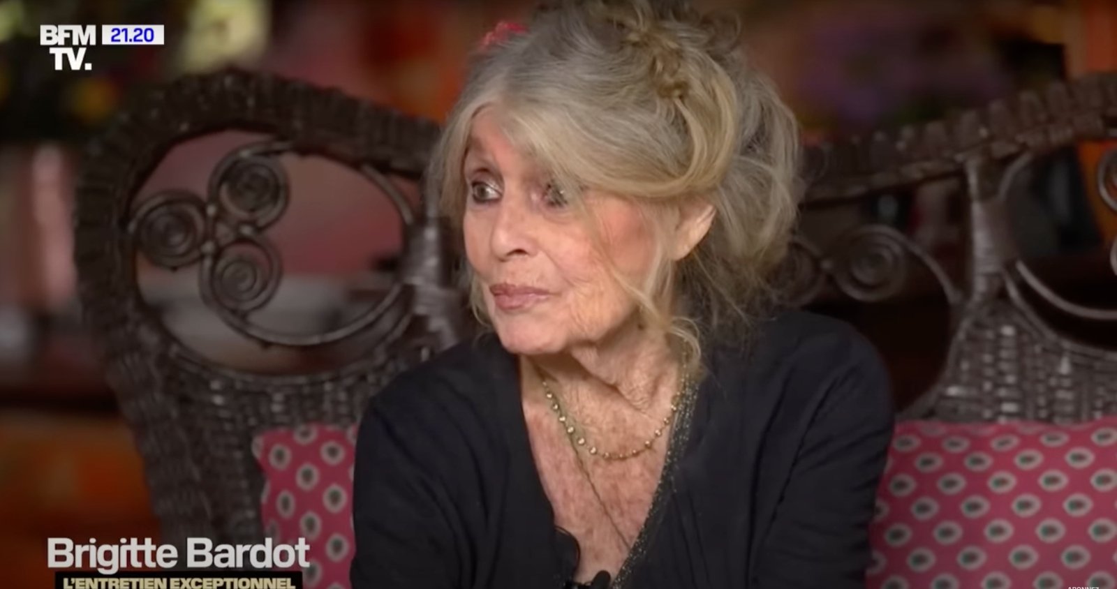 Z krásnej Brigitte Bardot