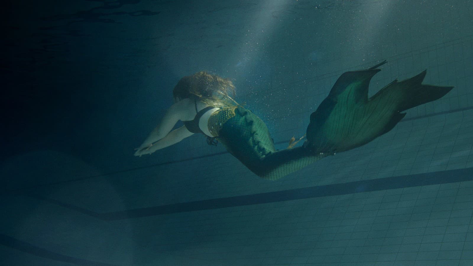 Rady pre začínajúcich podnikateľov: