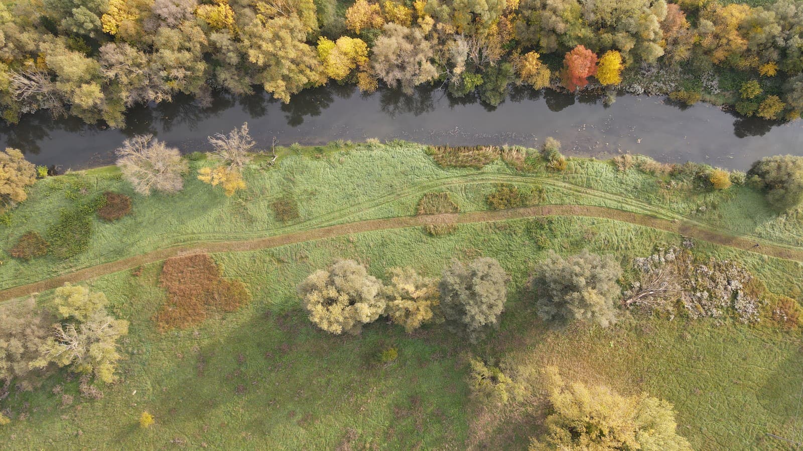 Nádej pre slovenskú prírodu: