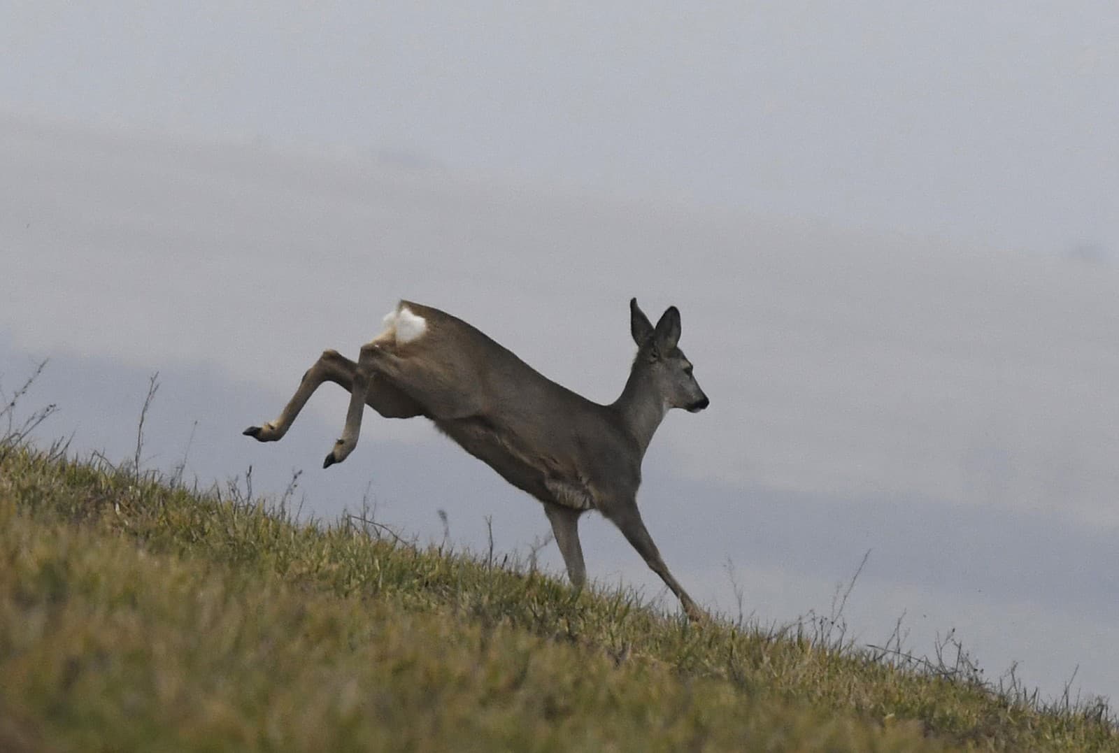 Dušičkové peklo na cintoríne: