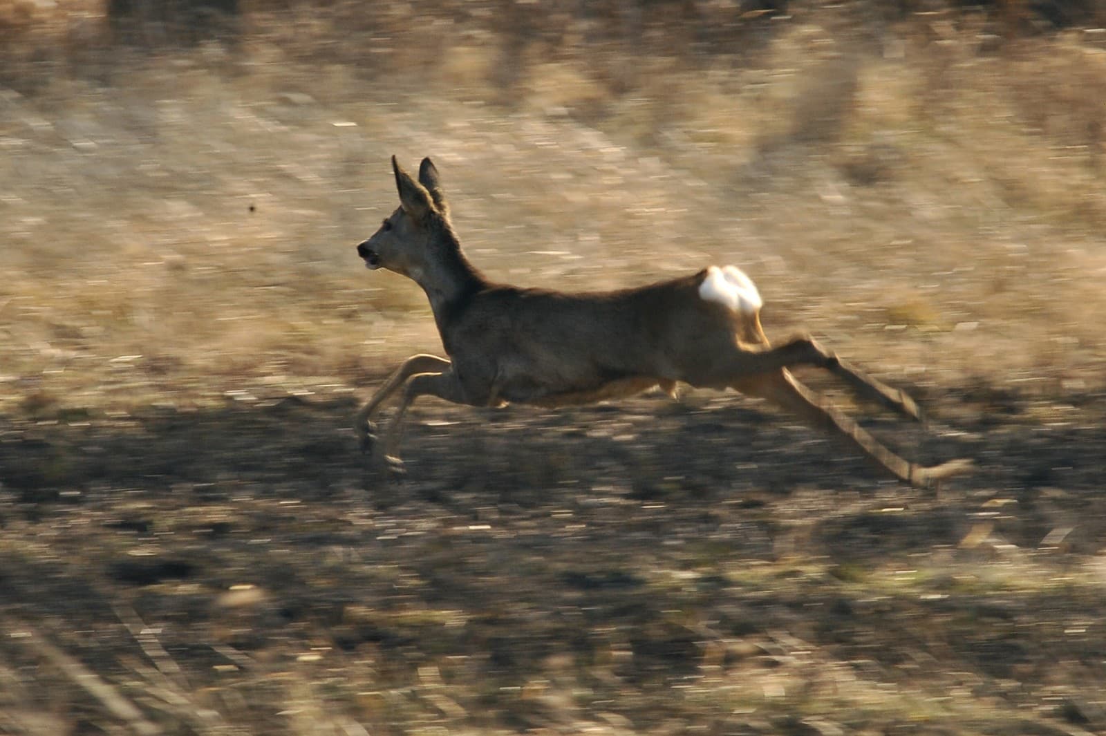 Dušičkové peklo na cintoríne: