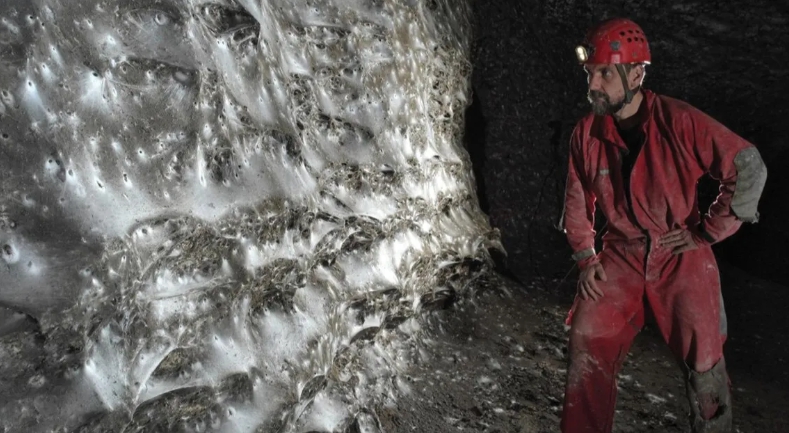 V podzemí objavili obriu kolóniu pavúkov!