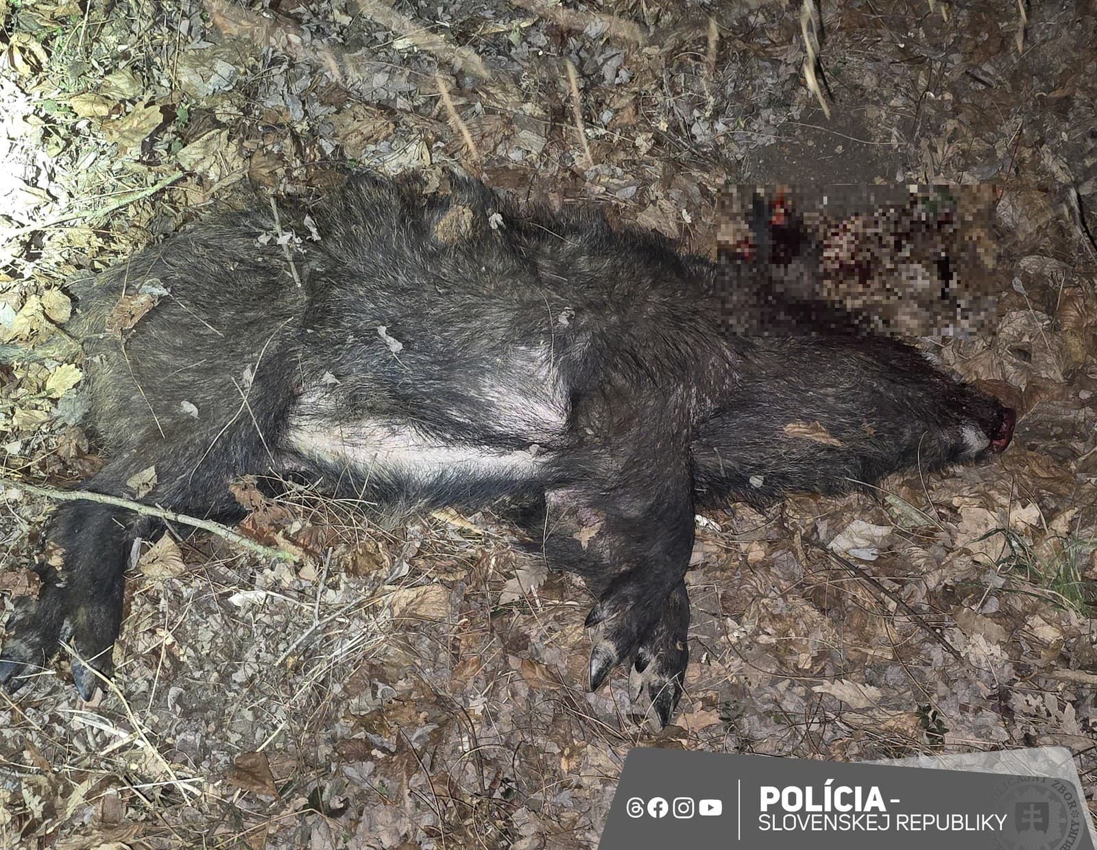 Bezcitná zábavka na kamere: