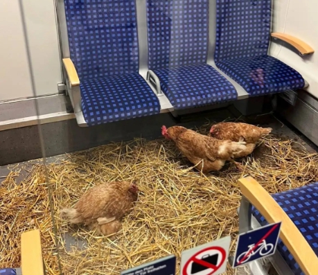 Tri nezvyčajné pasažierky spôsobili poriadne meškanie!