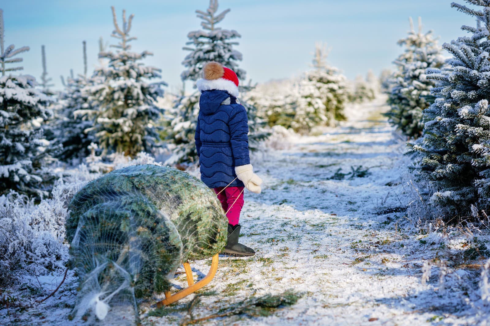 Slováci opäť prepadávajú sviatočnému