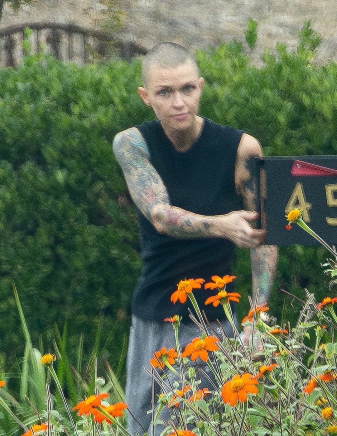 Slávna kočka zmenená na