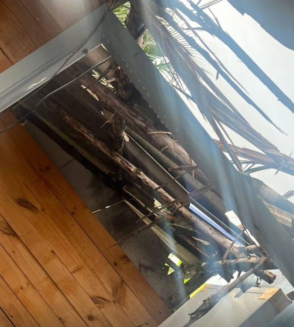 HRÔZA v reštaurácii: FOTO