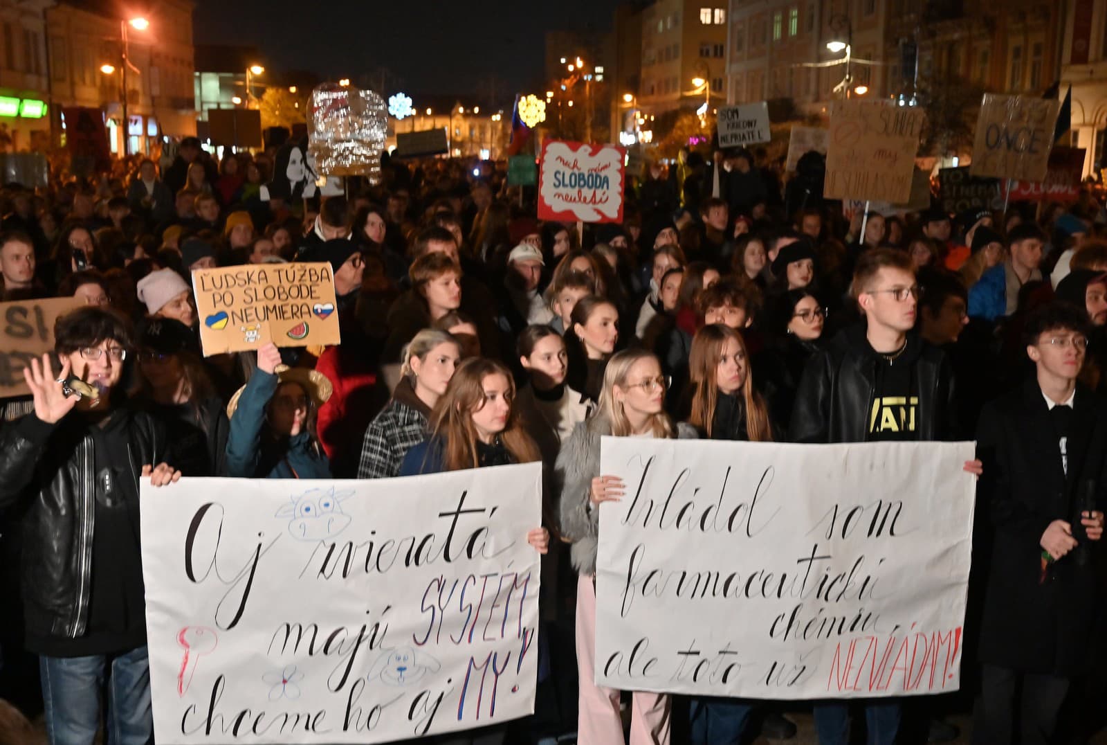 ľudia na zhromaždení s názvom  17. november - Sloboda nie je samozrejmosť pri Dolnej bráne v Košiciach