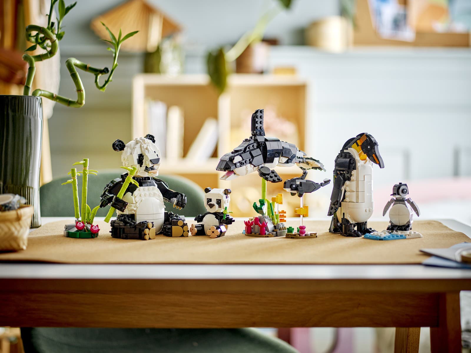 Nalaďte sa na Vianoce