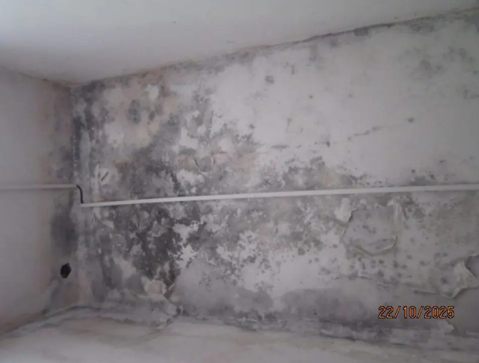Strop a steny v miestnosti príjmu potravín plesnivé, s porušeným olupujúcim sa náterom - zistila RVPS Čadca
