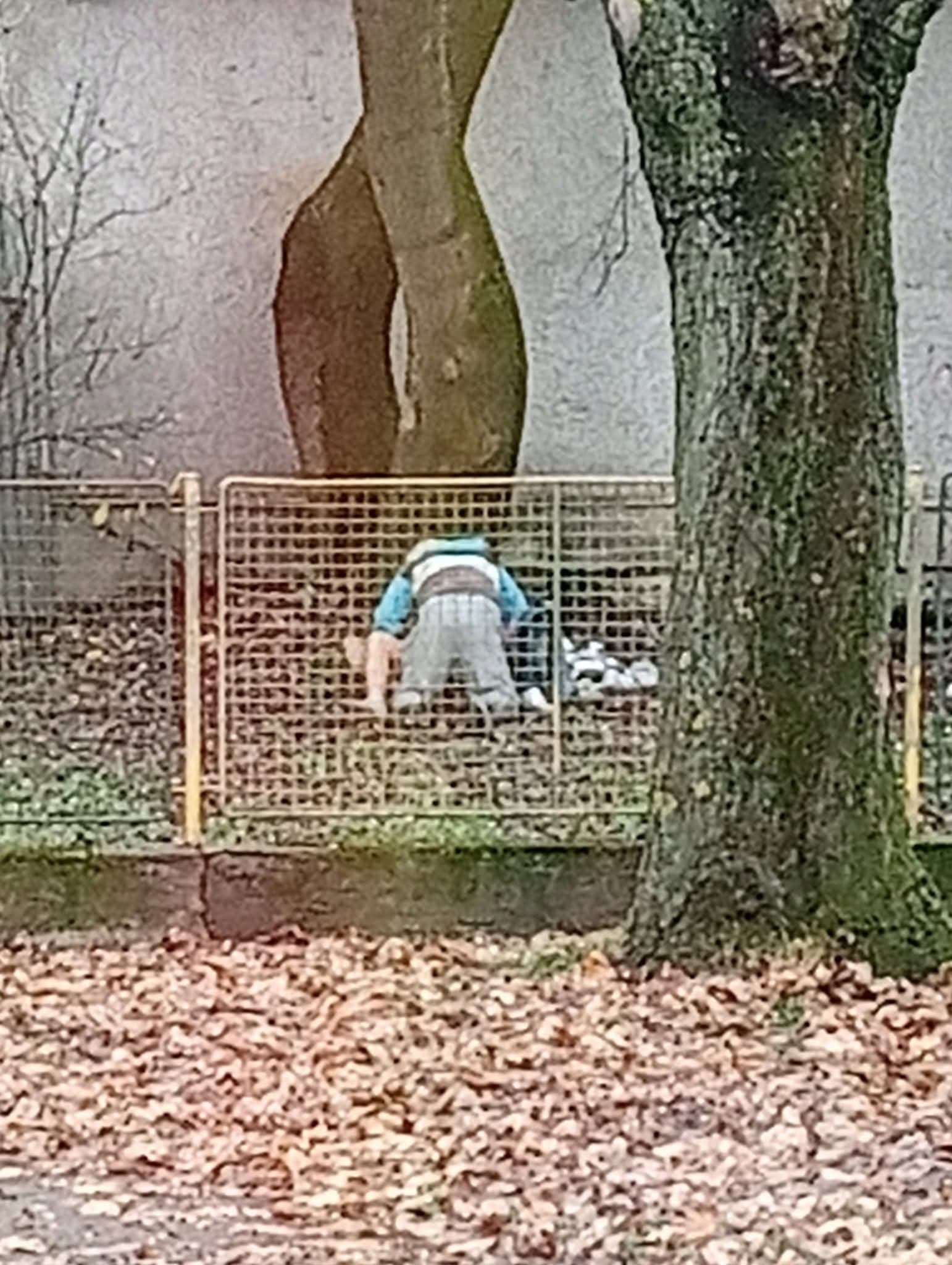 Okoloidúci v Trebišove mali