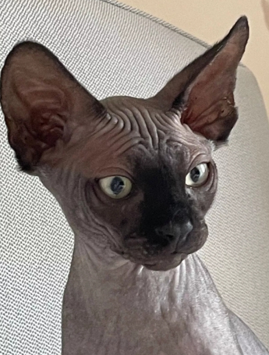 Hudobník si zlomil krk aj rebrá, ledva prežil!