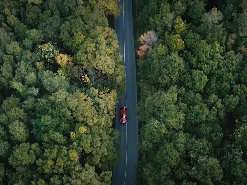 Ktoré auto si podmanilo