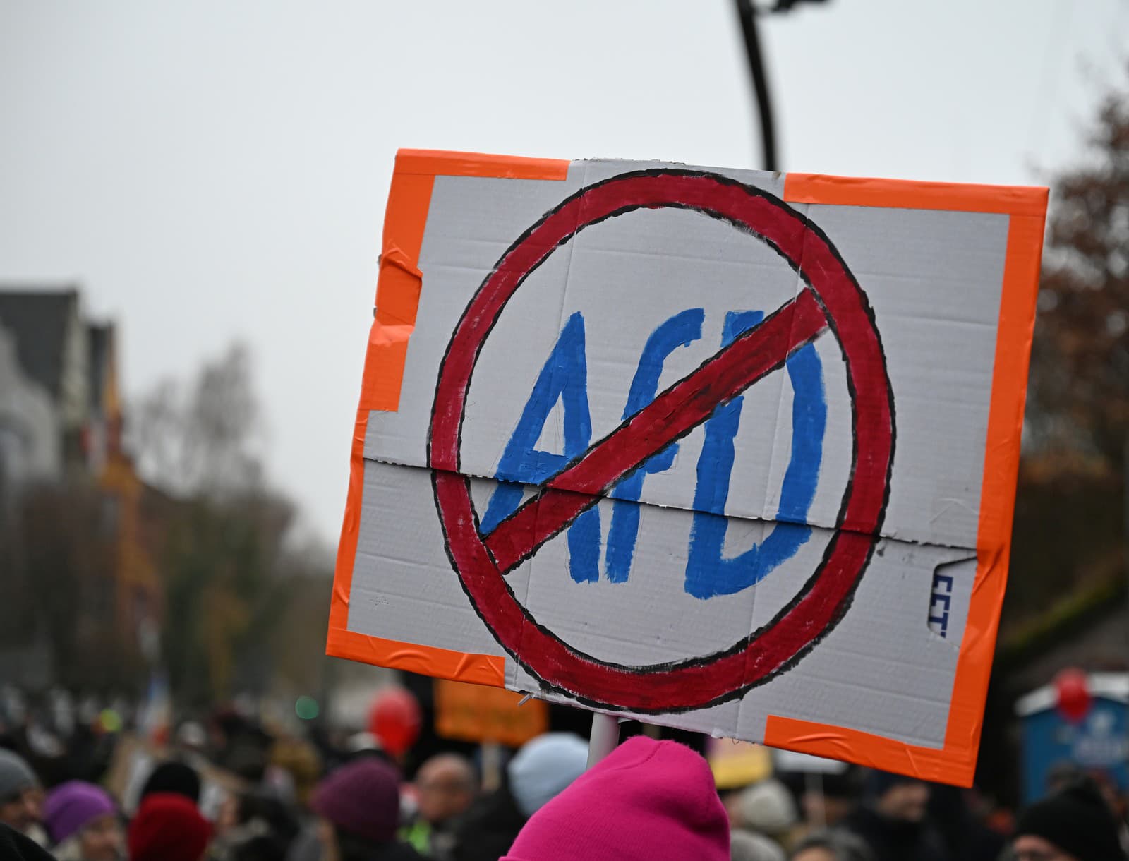 Veľké davy demonštrantov sa v sobotu 29. novembra 2025 zišli v stredonemeckom univerzitnom meste Giessen, aby protestovali proti založeniu novej mládežníckej organizácie strany Alternatíva pre Nemecko (AfD).