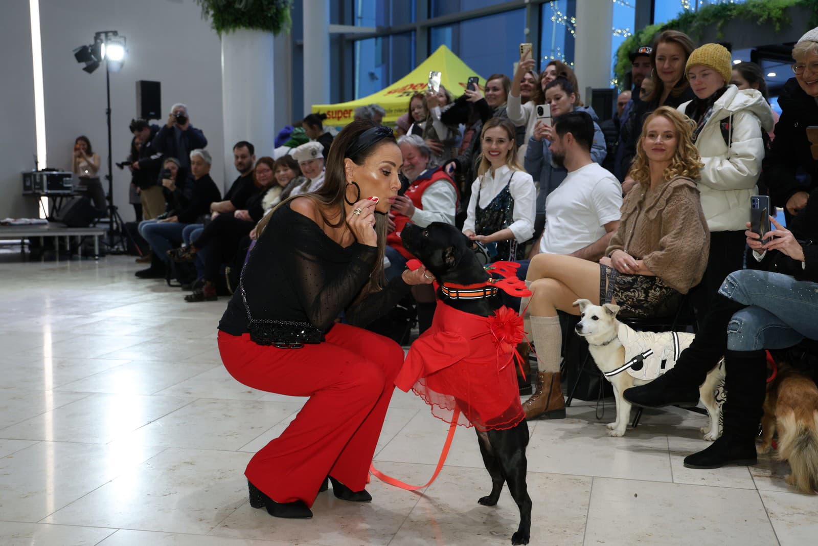 Módna prehliadka so psami. Na snímke Zora Czoborová