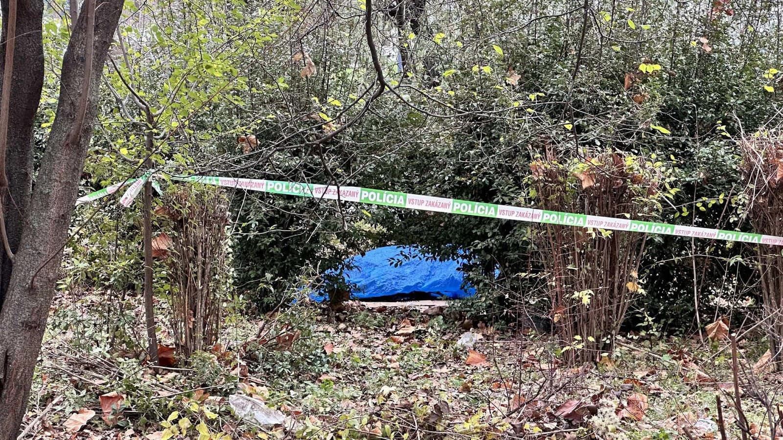 AKTUÁLNE Hrozný nález v AKTUÁLNE Hrozný nález v