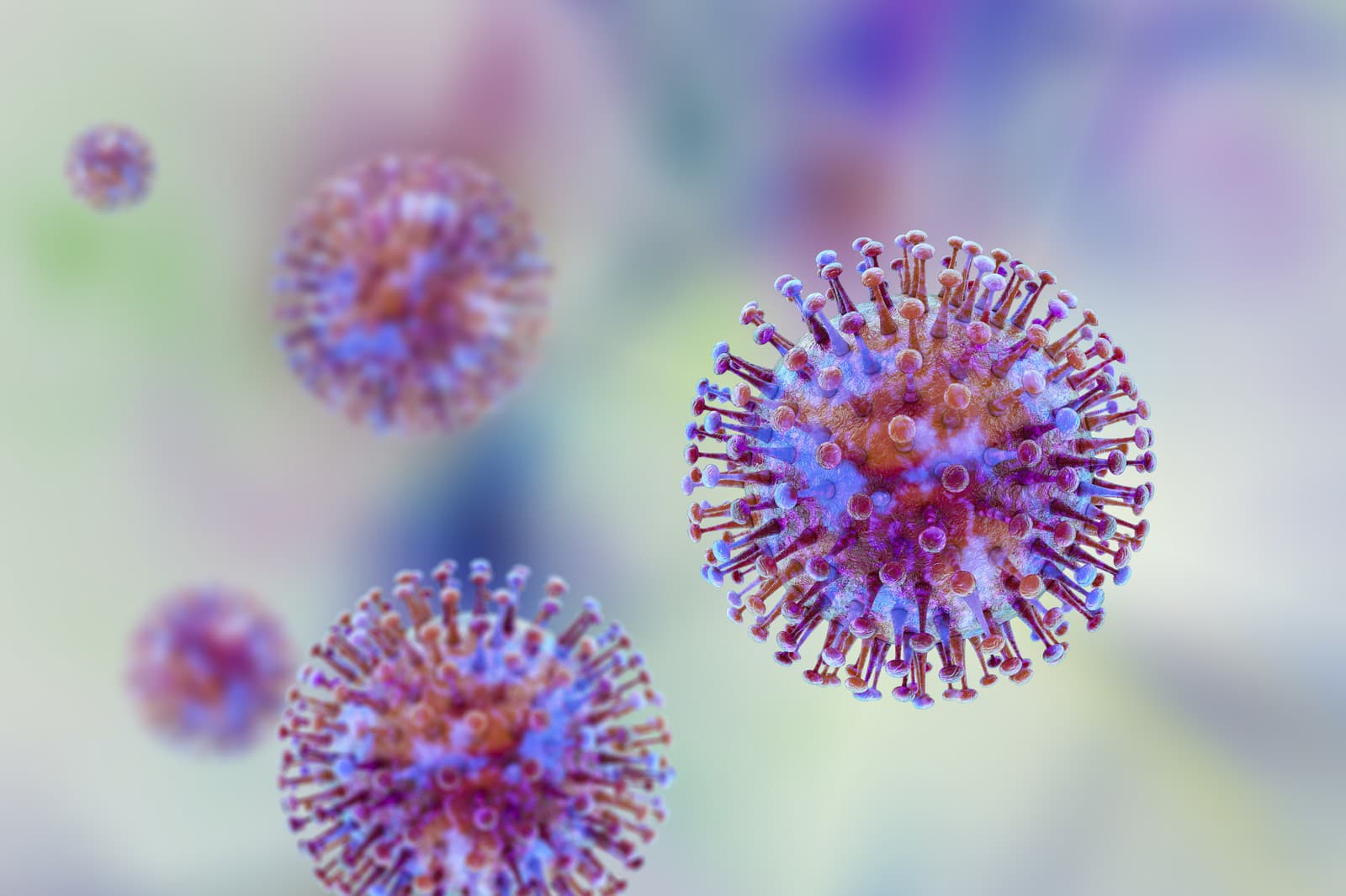 Katastrofálna údržba 50-ročných bytoviek