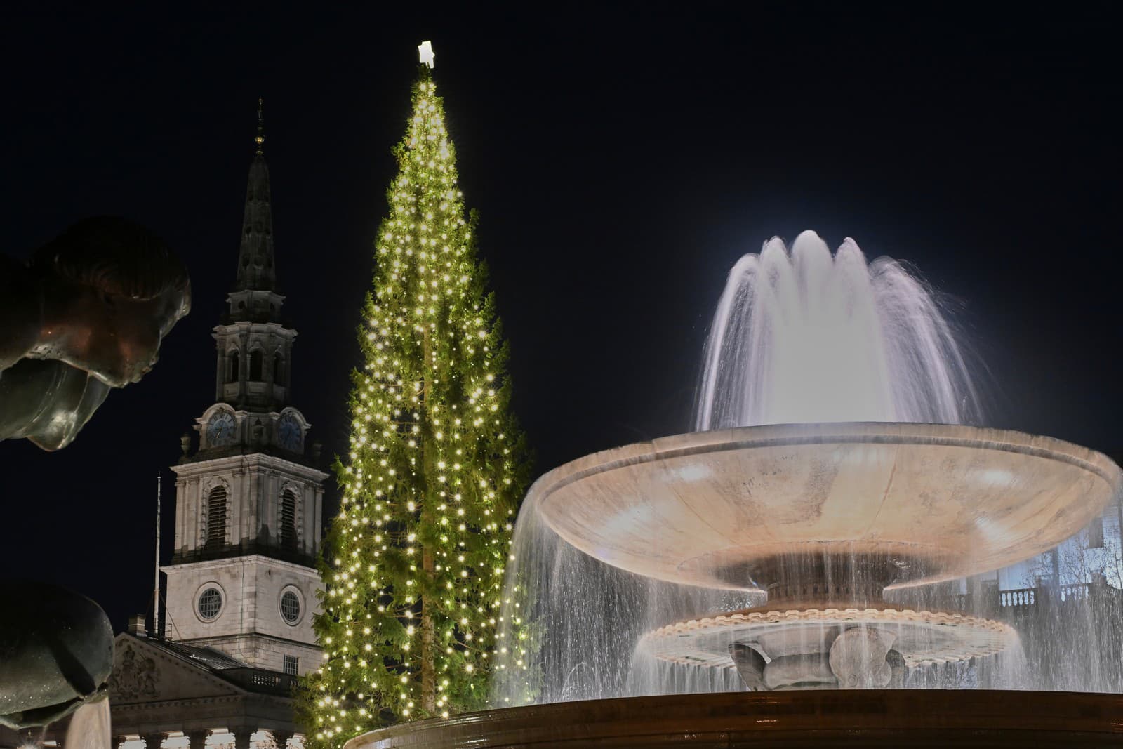 V Londýne patrí k najikonickejším symbolom sviatkov vianočný stromček na Trafalgarskom námestí.